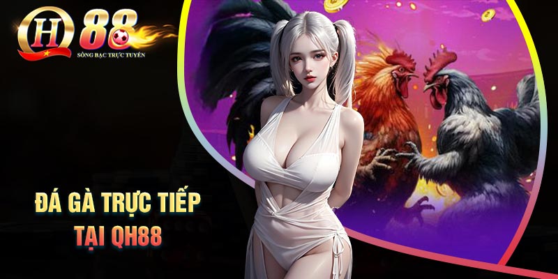 da-ga-truc-tiep-tai-qh88-truong-ga-hap-dan-va-uy-tin-nhat-vn